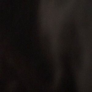 Meet your Posher, Dane